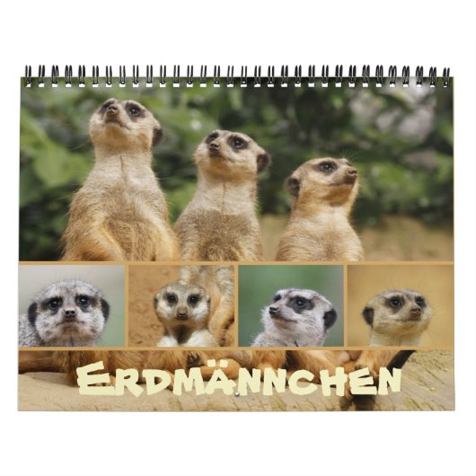 Erdmännchen 002 kalender (Titelbild)