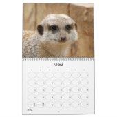 Erdmännchen 002 kalender (Mär 2026)
