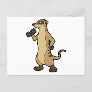 Erdmännchen bei Krafttraining mit Hantel Postkarte