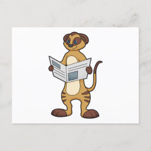 Erdmännchen beim Zeitunglesen Postkarte