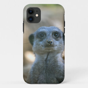 Erdmännchen iPhone 11 Hülle