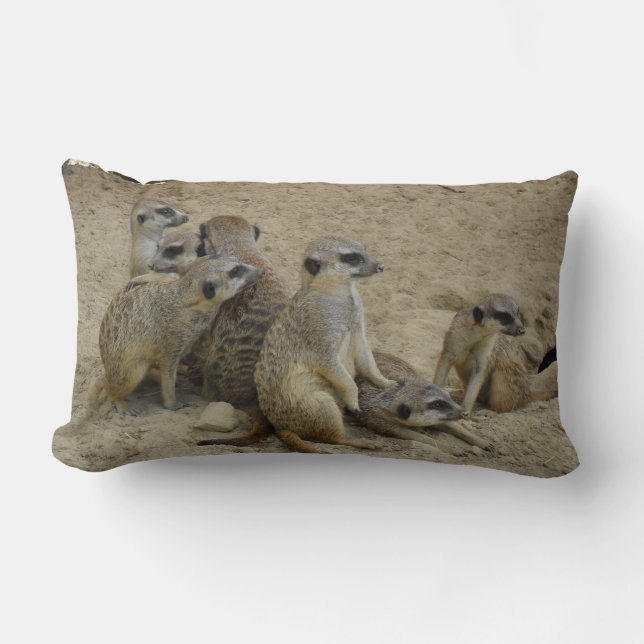 Erdmännchen Familie als Dekokissen (Vorderseite)
