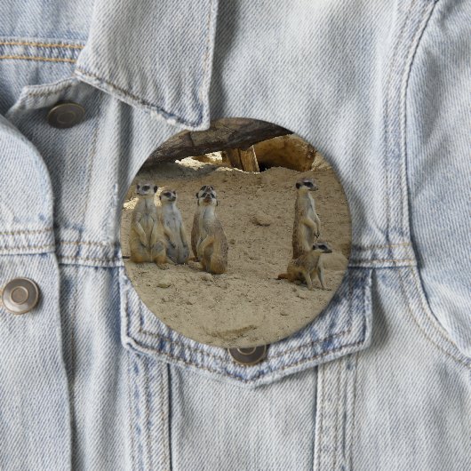 Erdmännchen Familie Button (Beispiel)