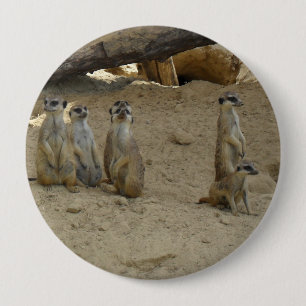 Erdmännchen Familie Button