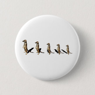 Erdmännchen in Reihe Button