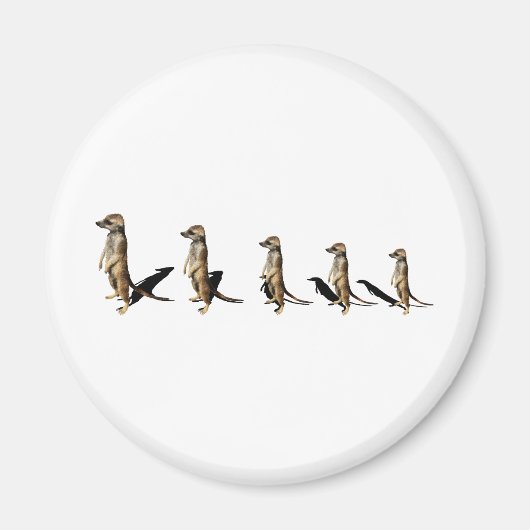 Erdmännchen in Reihe Magnet (Vorne)