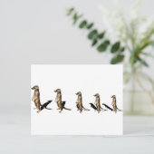 Erdmännchen in Reihe Postkarte (Stehend Vorderseite)