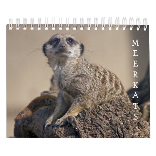 Erdmännchen-Kalender Kalender (Titelbild)