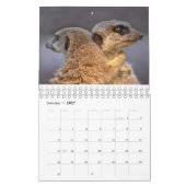 Erdmännchen-Kalender Kalender (Jan 2027)