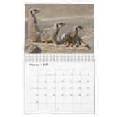 Erdmännchen-Kalender Kalender (Feb 2027)