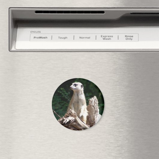 Erdmännchen Magnet (In Situ (Geschirrspüler))