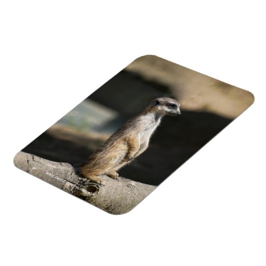 Erdmännchen Magnet (Linke Seite)