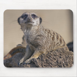Erdmännchen-Mauspad Mousepad