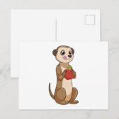 Erdmännchen mit Apfel Postkarte (Vorne/Hinten)