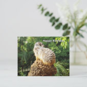 Erdmännchen mit hoher Aussicht, Geburtstagspostkar Postkarte (Stehend Vorderseite)