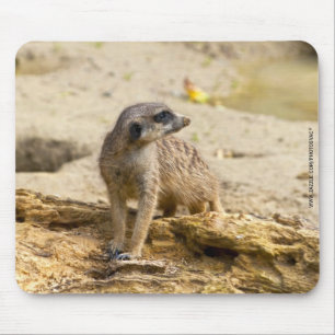 Erdmännchen Mousepad