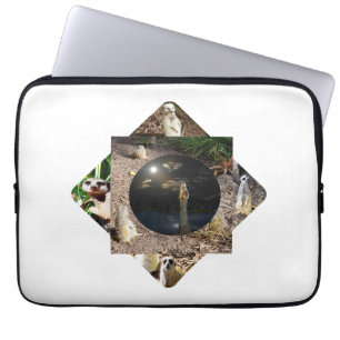 Erdmännchen-Polyscope,  Laptopschutzhülle