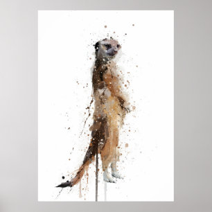Erdmännchen Poster