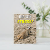 Erdmännchen-Postkarte ‚Nur kein Stress!‘ Postkarte (Stehend Vorderseite)