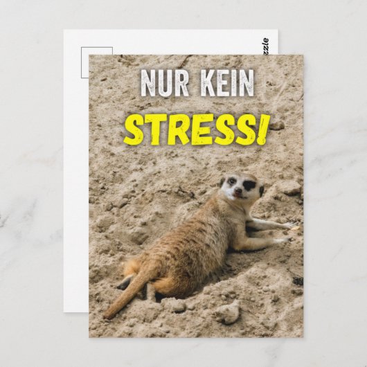 Erdmännchen-Postkarte ‚Nur kein Stress!‘ Postkarte (Vorne/Hinten)