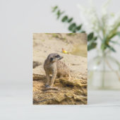 Erdmännchen-Postkarte Postkarte (Stehend Vorderseite)