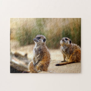 Erdmännchen. Puzzle