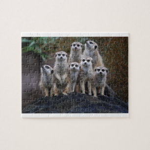 Erdmännchen Tier Safari Afrika Niedlich Suricate Puzzle