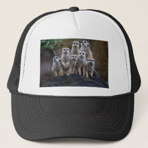 Erdmännchen Tier Safari Afrika Süße Suricata Truckerkappe
