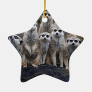 Erdmännchen Tier Safari Afrika Süße Suricate Keramikornament