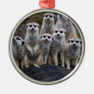 Erdmännchen Tier Safari Afrika Süße Suricate Silbernes Ornament