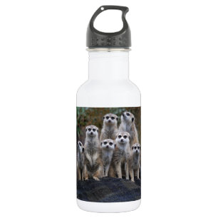 Erdmännchen Tier Safari Afrika Süße Suricate Trinkflasche