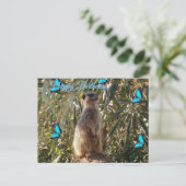Erdmännchen und blaue Schmetterlinge, Geburtstagsp Postkarte (Stehend Vorderseite)