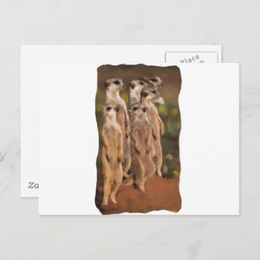Erdmännchengruppe Postkarte (Vorne/Hinten)