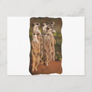 Erdmännchengruppe Postkarte