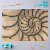 Erdnautilus Seidenpapier (Basteln)