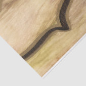 Erdnautilus Seidenpapier (Ausschnitt)