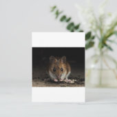 Erdnuss der Holzmäuse Postkarte (Stehend Vorderseite)