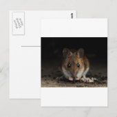 Erdnuss der Holzmäuse Postkarte (Vorne/Hinten)