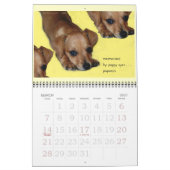 Erdnuss in Chiweenie Kalender (Mär 2027)