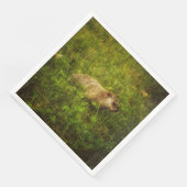 Erdnuss in Feldservietten Serviette (Ecke)