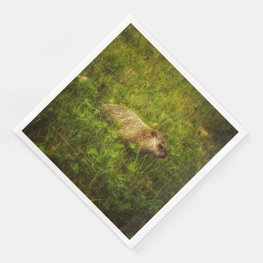 Erdnuss in Feldservietten Serviette (Ecke)