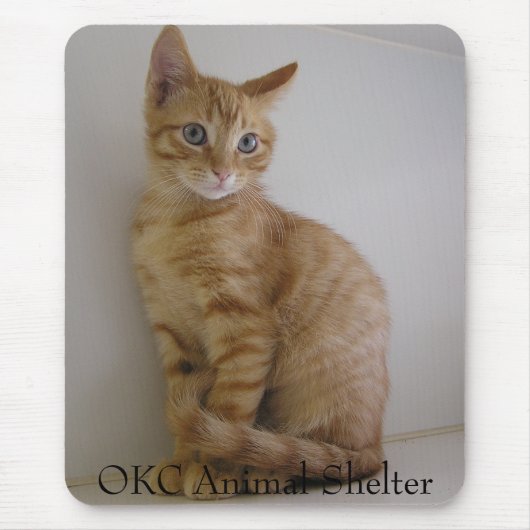 Erdnuss Mousepad (Vorne)