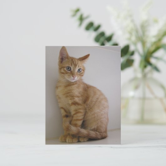 Erdnuss Postkarte (Stehend Vorderseite)