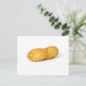 Erdnuss Postkarte (Stehend Vorderseite)