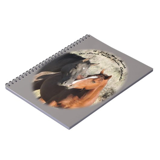 Erdnuss u. Surma, Stallions im Sand-Waschbecken Notizblock (Linke Seite)