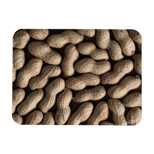 Erdnussbaum Magnet (Horizontal)