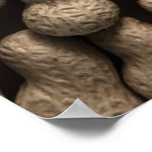 Erdnussbaum Poster (Ecke)