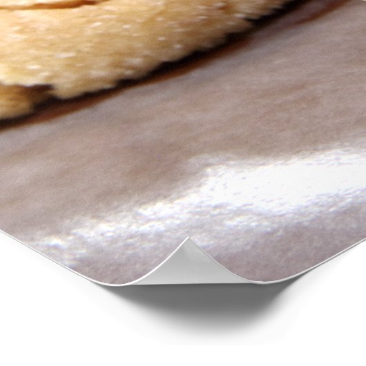 Erdnussblüter Poster (Ecke)