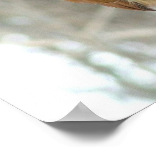 Erdnussbutter-Vogel Poster (Ecke)