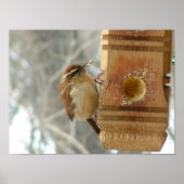 Erdnussbutter-Vogel Poster (Vorne)